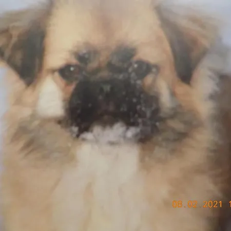 度假居 Aux Roses Vrolle