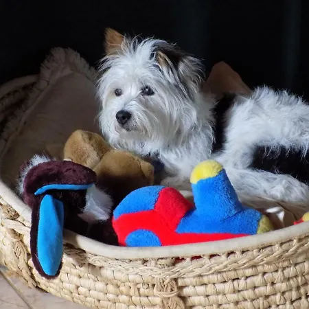 度假居 Aux Roses *