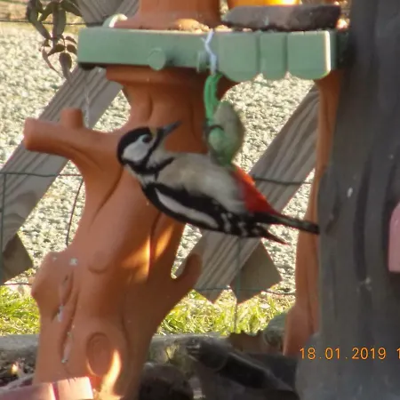 度假居 Aux Roses *