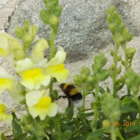 Aux Roses Hébergement de vacances