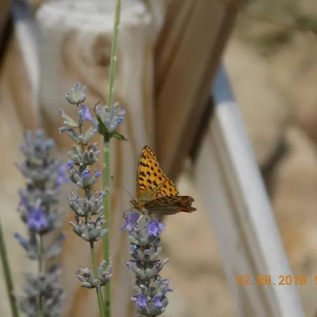 度假居 Aux Roses Vrolle