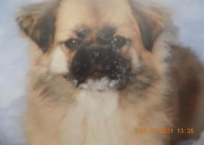 Holiday home Aux Roses Vrolle