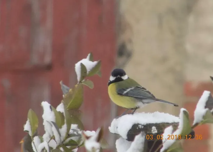 Aux Roses 別荘 Vrolle