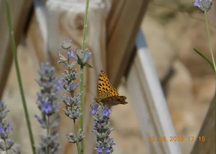 Holiday home Aux Roses Vrolle