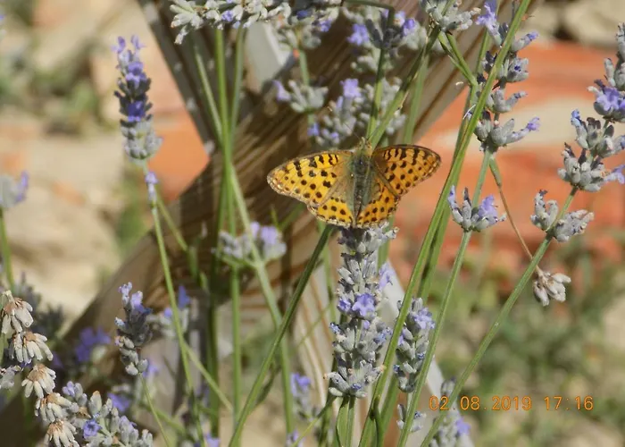 Holiday home Aux Roses Vrolle