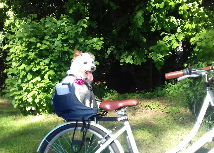 Holiday home Aux Roses